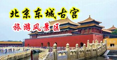 女生被舔下面到流出白水的视频中国北京-东城古宫旅游风景区